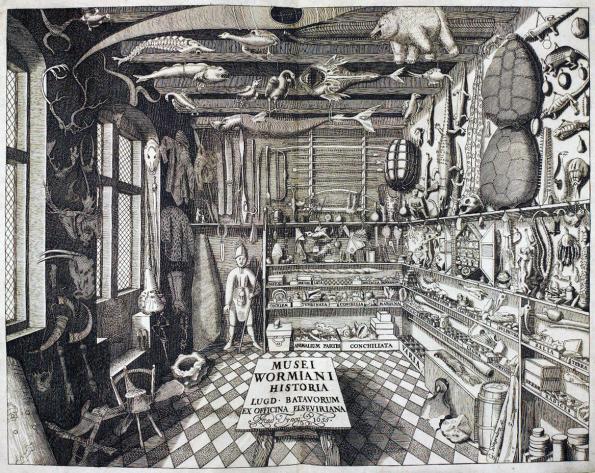 Ole Worms Kuriositätenkabinett, 1655, Smithsonian Museum