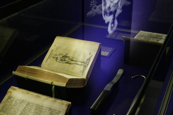 Die spannenden und zugleich bewegenden Lebensläufe der beiden Frauen ließen die Ausstellungsbesucher*innen in die Welt barocker Fürstenhöfe eintauchen.