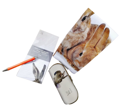Eine anspruchsvolle Auswahl an Fachliteratur und Belletristik und eine Vielfalt an Postkarten zu unseren Exponaten im Museumsshop